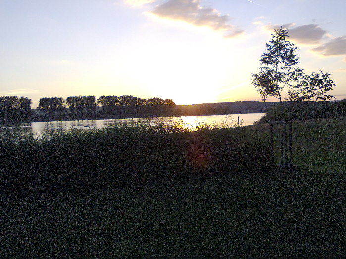 Abendsonne am Rhein 2013
gegen die Pfalz